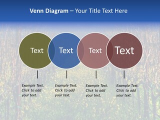 Hill Winery Harvesting PowerPoint Template