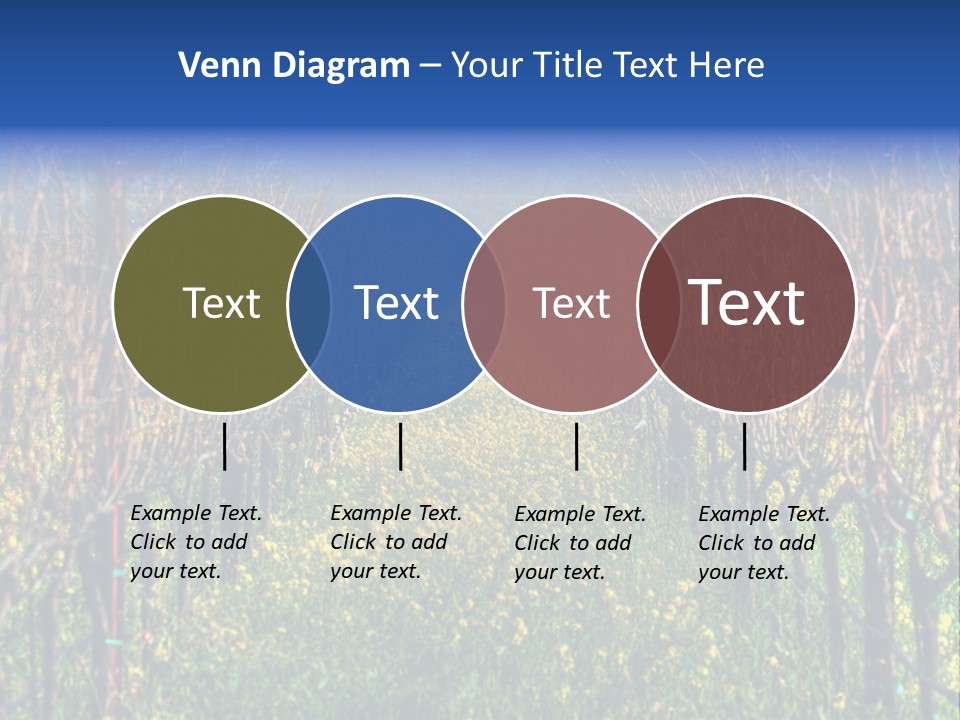 Hill Winery Harvesting PowerPoint Template