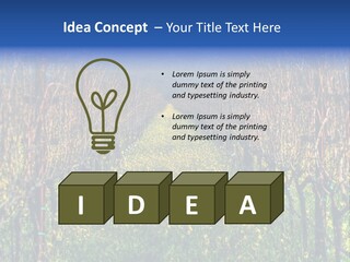 Hill Winery Harvesting PowerPoint Template