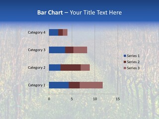 Hill Winery Harvesting PowerPoint Template