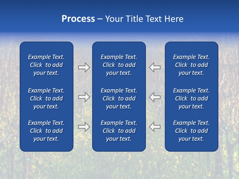Hill Winery Harvesting PowerPoint Template