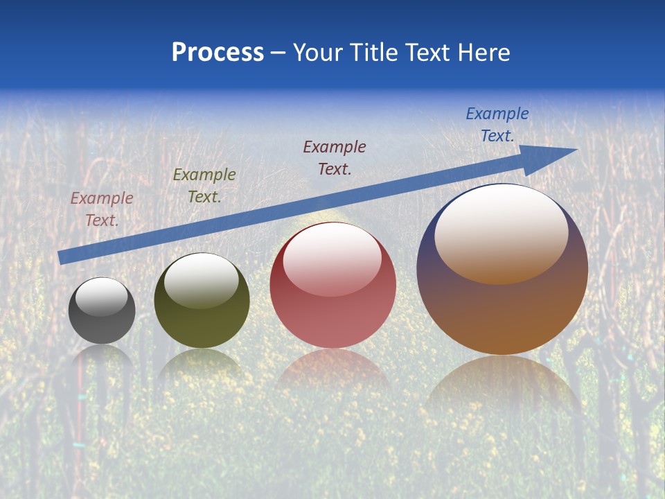 Hill Winery Harvesting PowerPoint Template