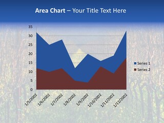 Hill Winery Harvesting PowerPoint Template