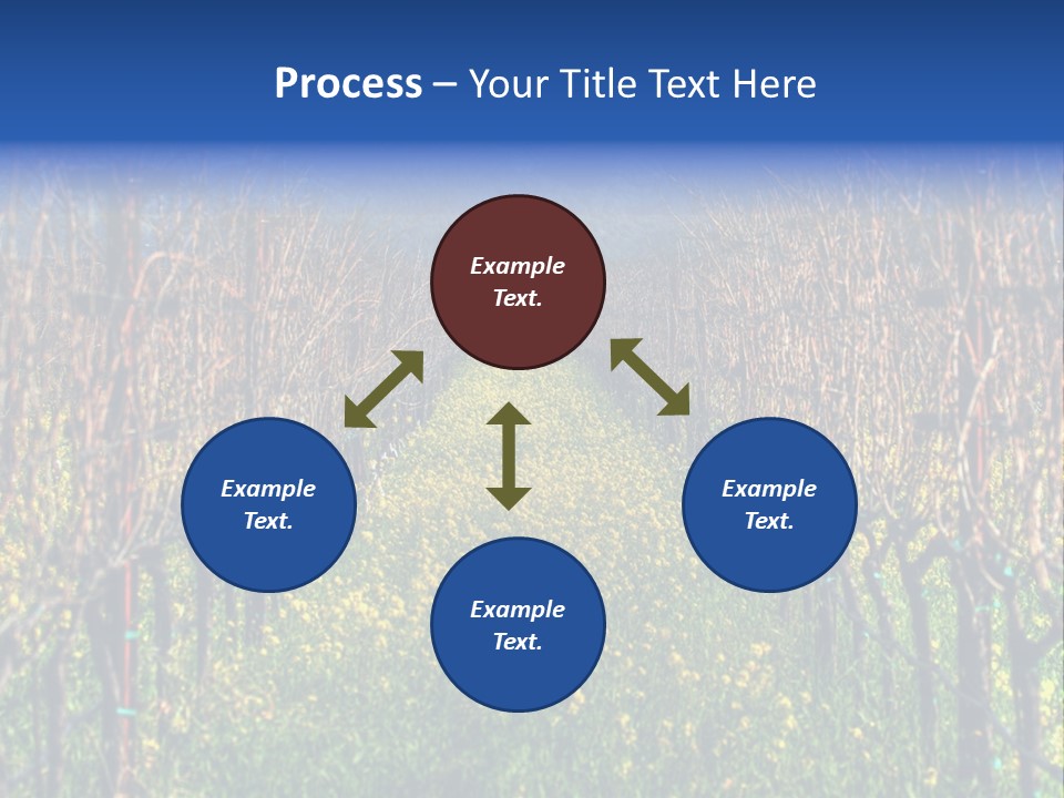 Hill Winery Harvesting PowerPoint Template