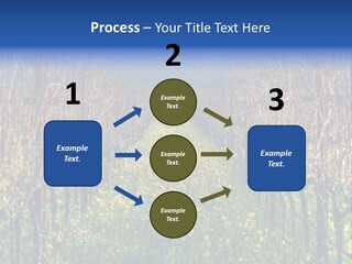 Hill Winery Harvesting PowerPoint Template
