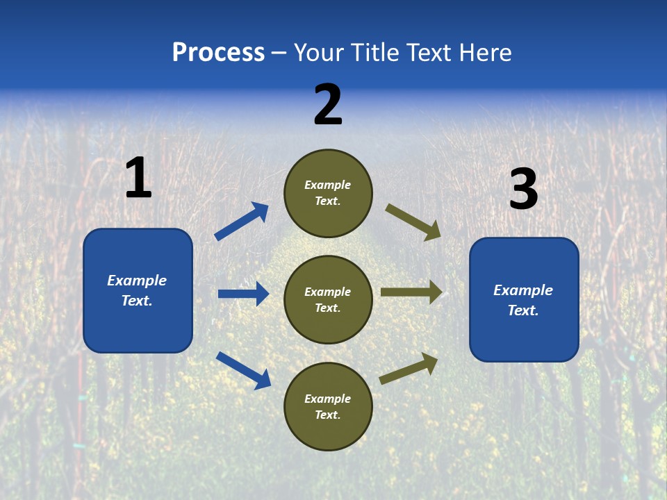 Hill Winery Harvesting PowerPoint Template