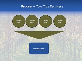 Hill Winery Harvesting PowerPoint Template