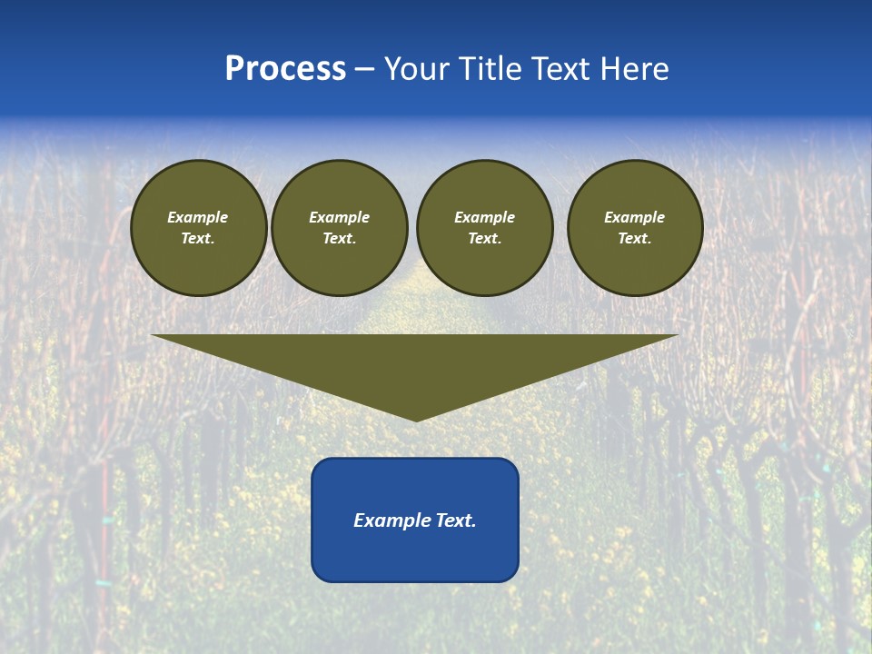 Hill Winery Harvesting PowerPoint Template