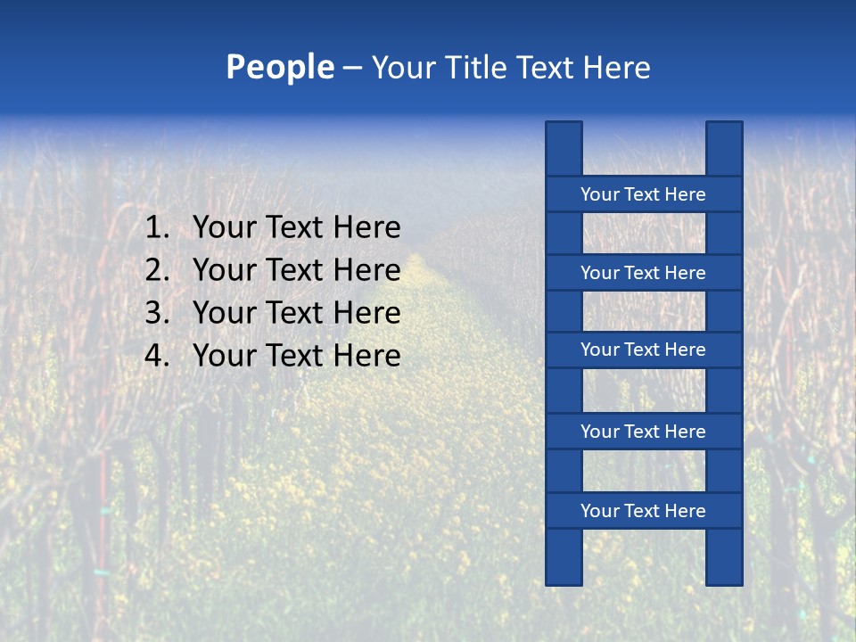 Hill Winery Harvesting PowerPoint Template