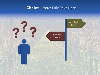 Hill Winery Harvesting PowerPoint Template