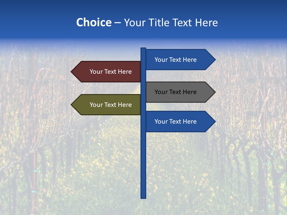 Hill Winery Harvesting PowerPoint Template