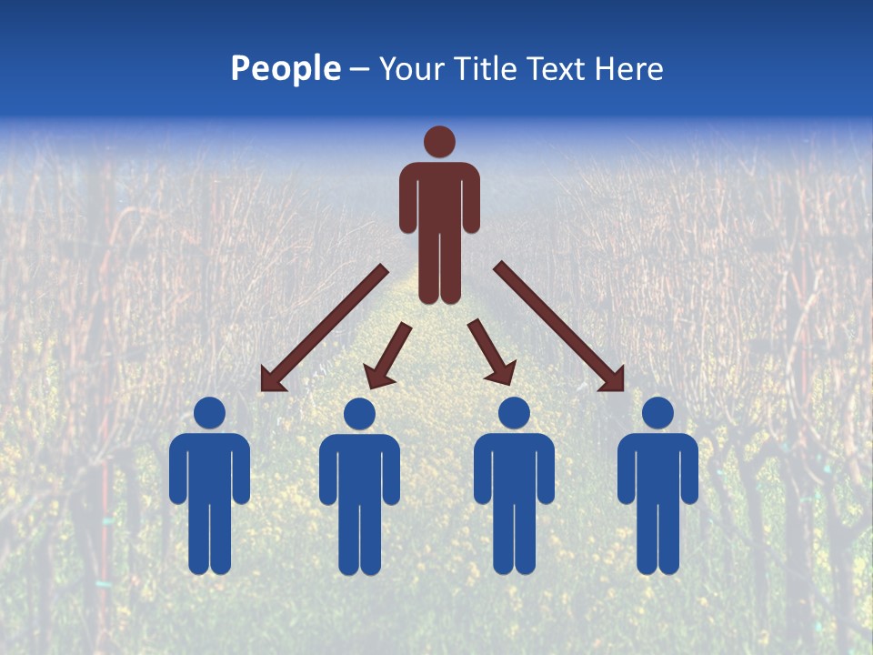 Hill Winery Harvesting PowerPoint Template