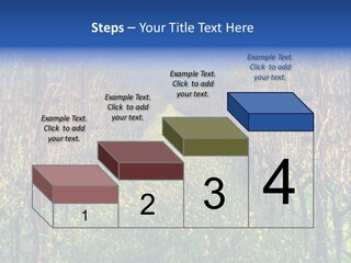 Hill Winery Harvesting PowerPoint Template