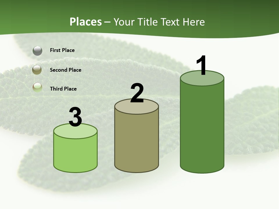 Food Salvia Herb PowerPoint Template