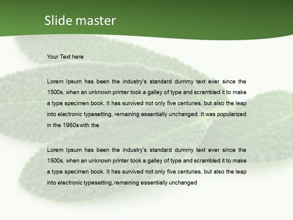 Food Salvia Herb PowerPoint Template