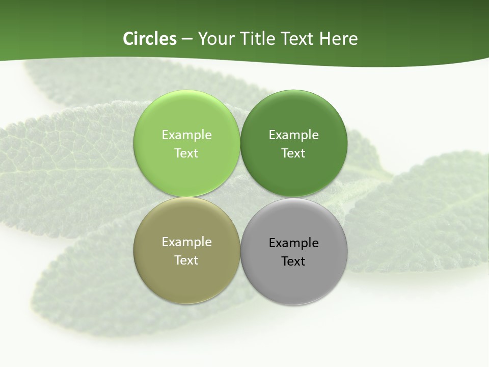 Food Salvia Herb PowerPoint Template