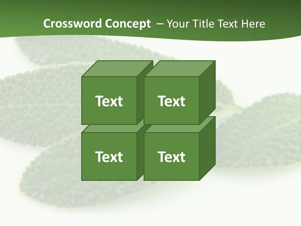 Food Salvia Herb PowerPoint Template