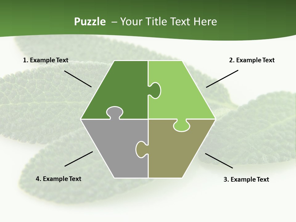 Food Salvia Herb PowerPoint Template