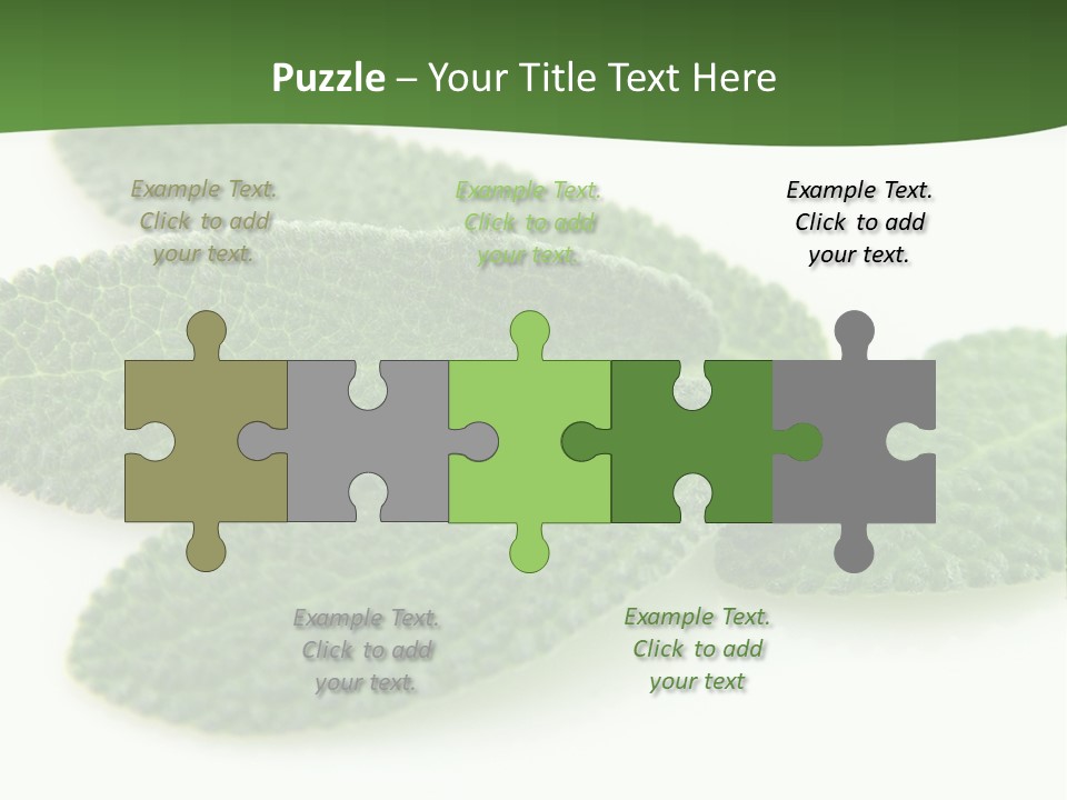 Food Salvia Herb PowerPoint Template