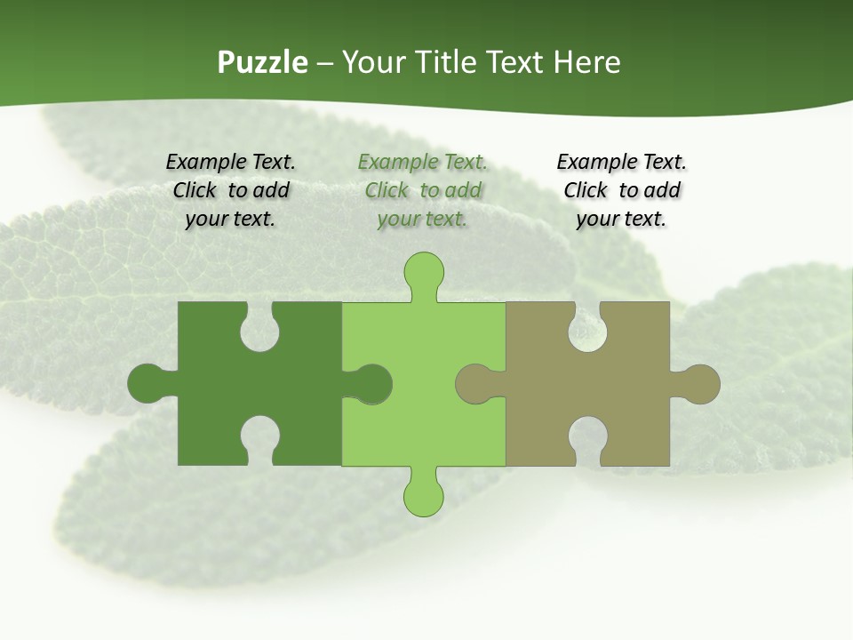 Food Salvia Herb PowerPoint Template