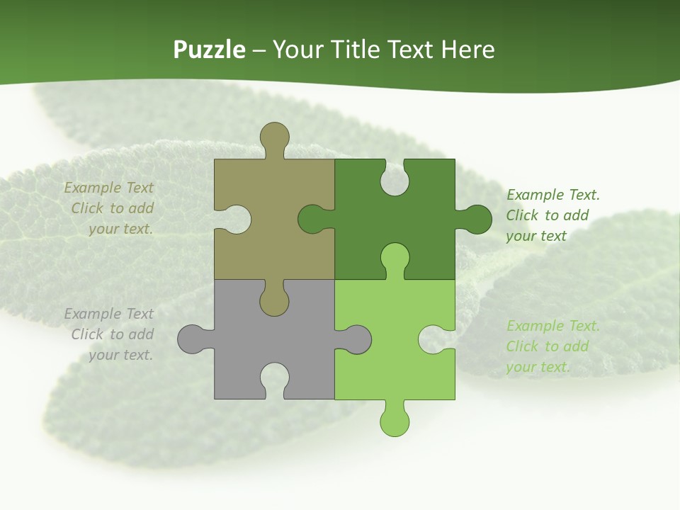 Food Salvia Herb PowerPoint Template