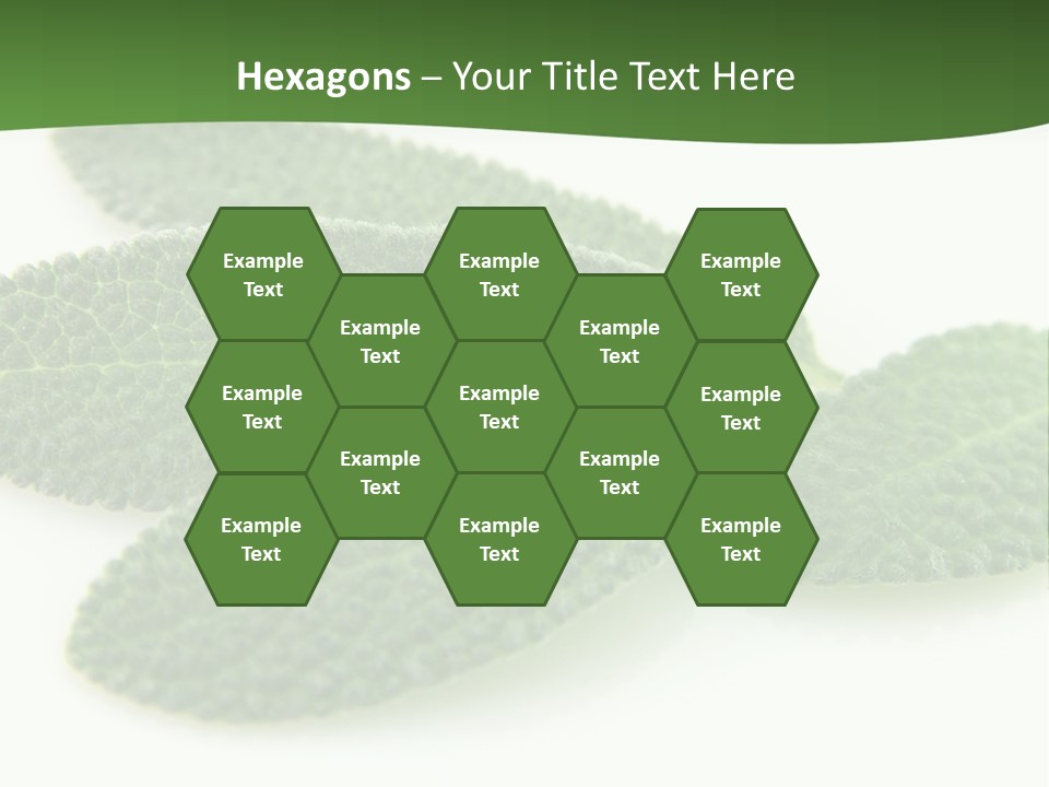 Food Salvia Herb PowerPoint Template