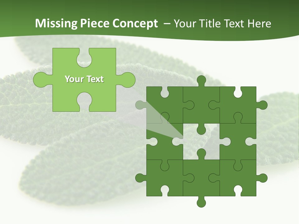 Food Salvia Herb PowerPoint Template