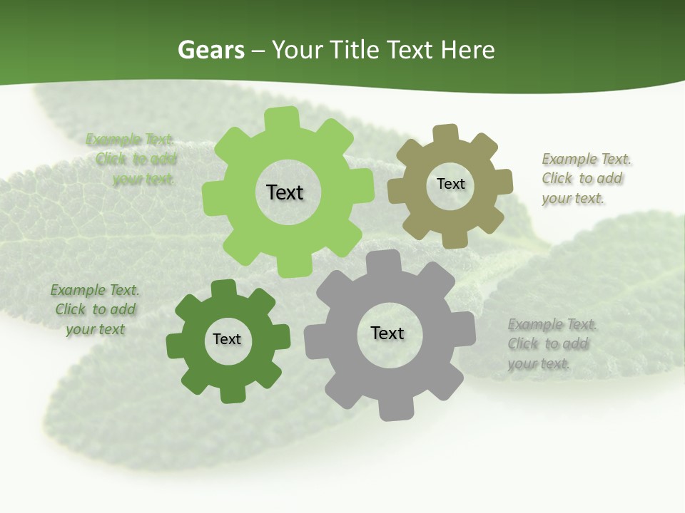 Food Salvia Herb PowerPoint Template