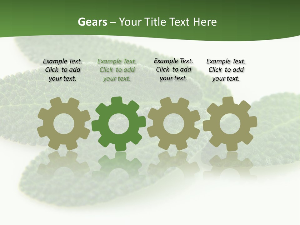 Food Salvia Herb PowerPoint Template