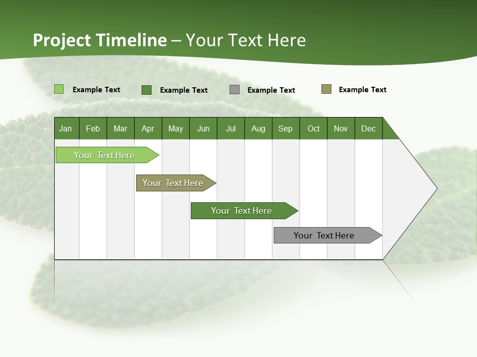Food Salvia Herb PowerPoint Template