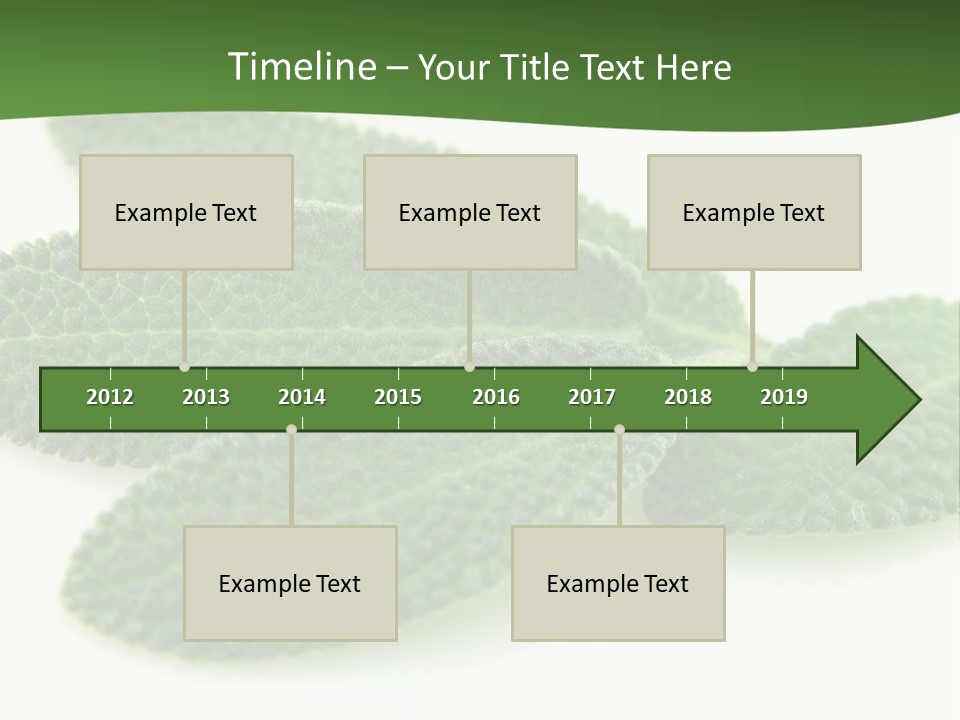 Food Salvia Herb PowerPoint Template