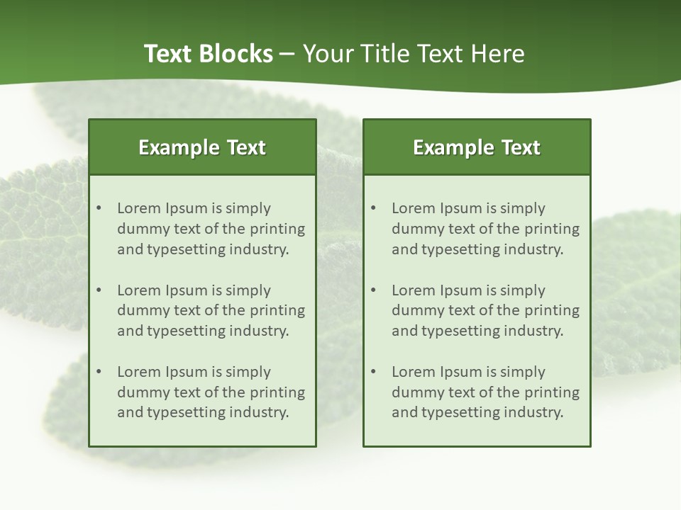 Food Salvia Herb PowerPoint Template