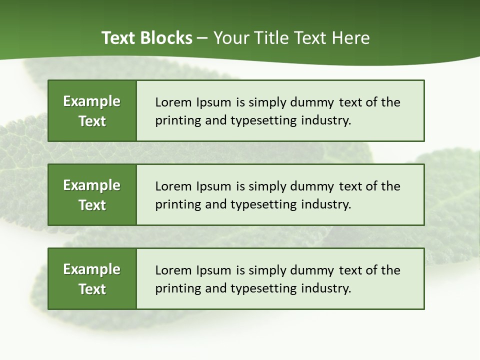 Food Salvia Herb PowerPoint Template