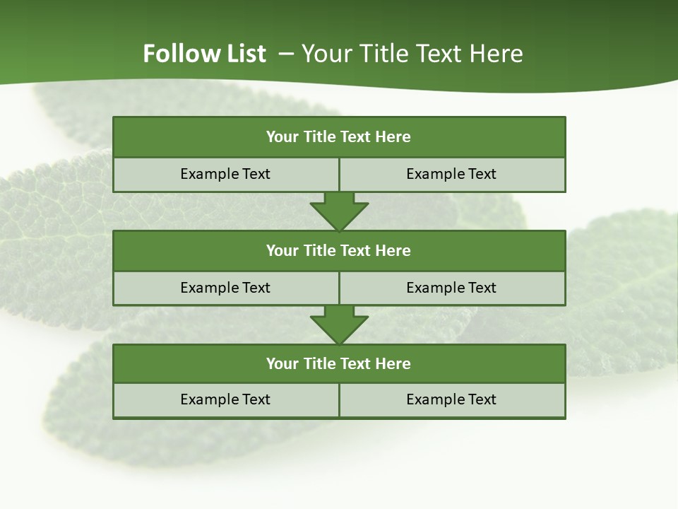 Food Salvia Herb PowerPoint Template