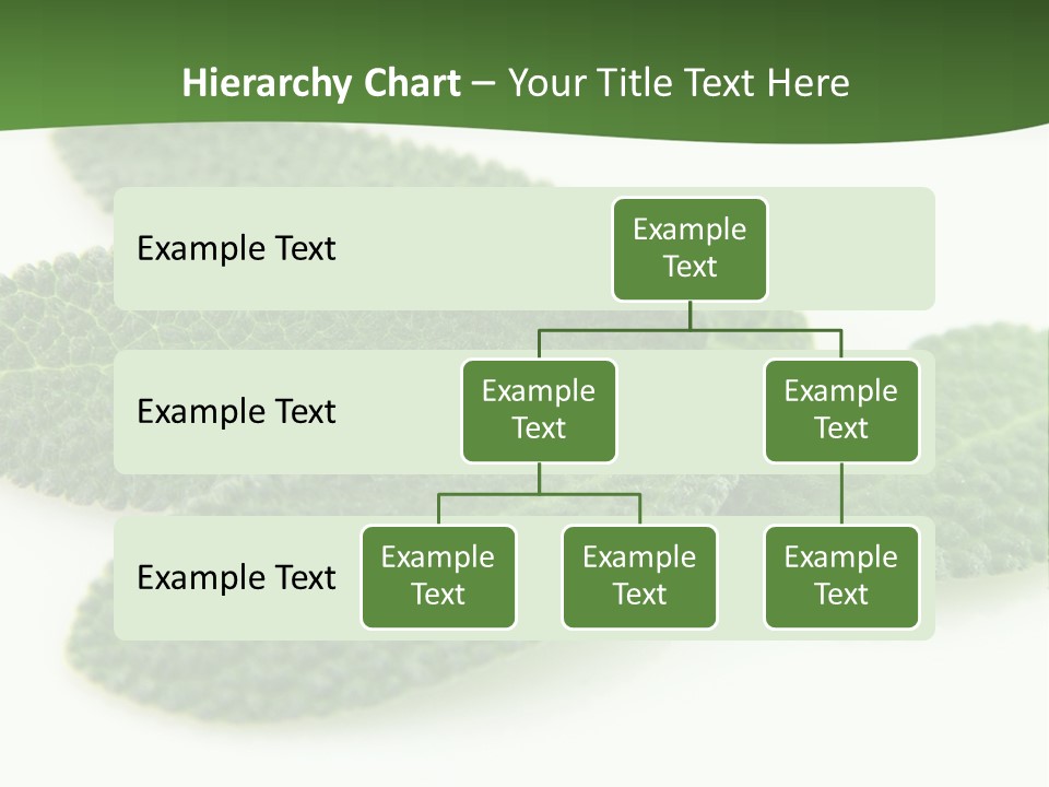 Food Salvia Herb PowerPoint Template