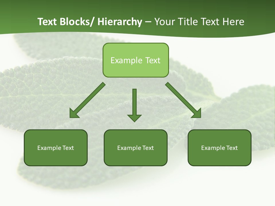 Food Salvia Herb PowerPoint Template