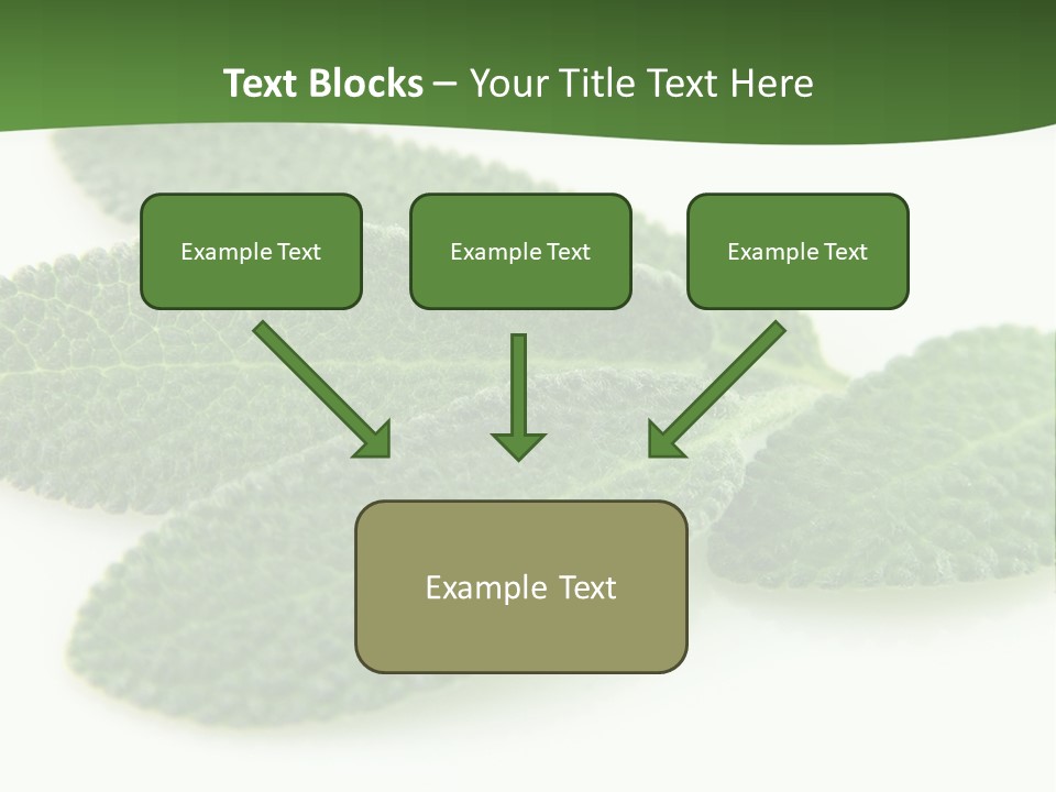 Food Salvia Herb PowerPoint Template