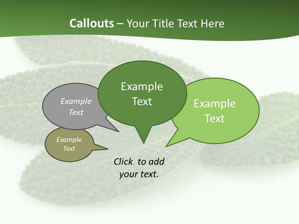 Food Salvia Herb PowerPoint Template