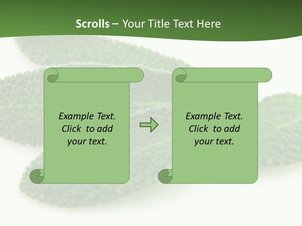 Food Salvia Herb PowerPoint Template