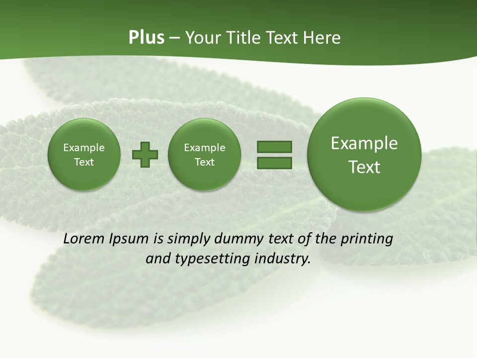 Food Salvia Herb PowerPoint Template