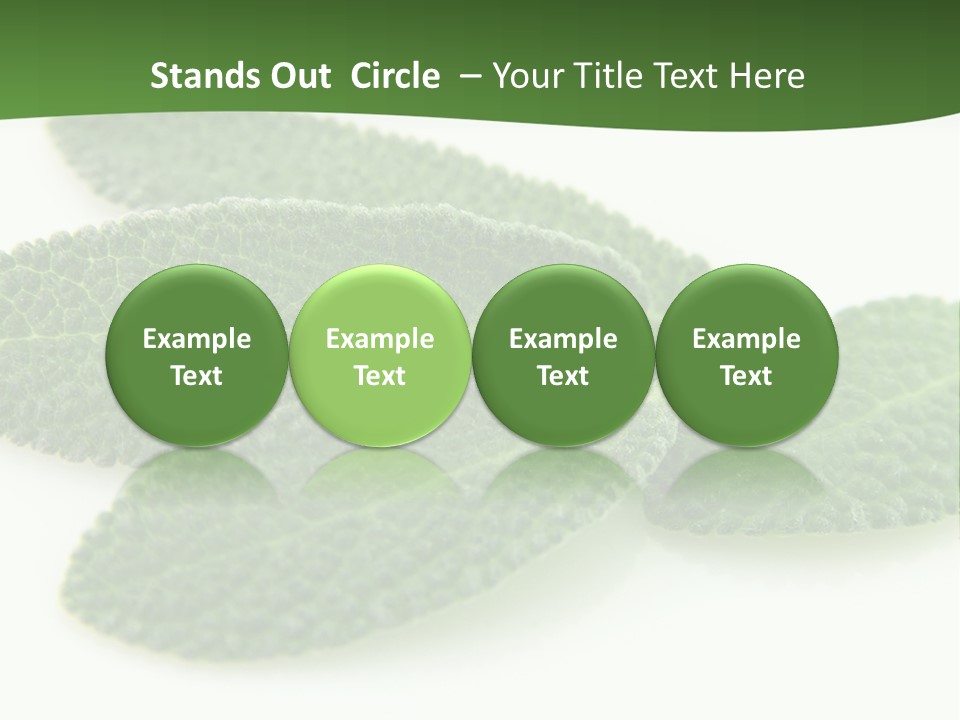 Food Salvia Herb PowerPoint Template