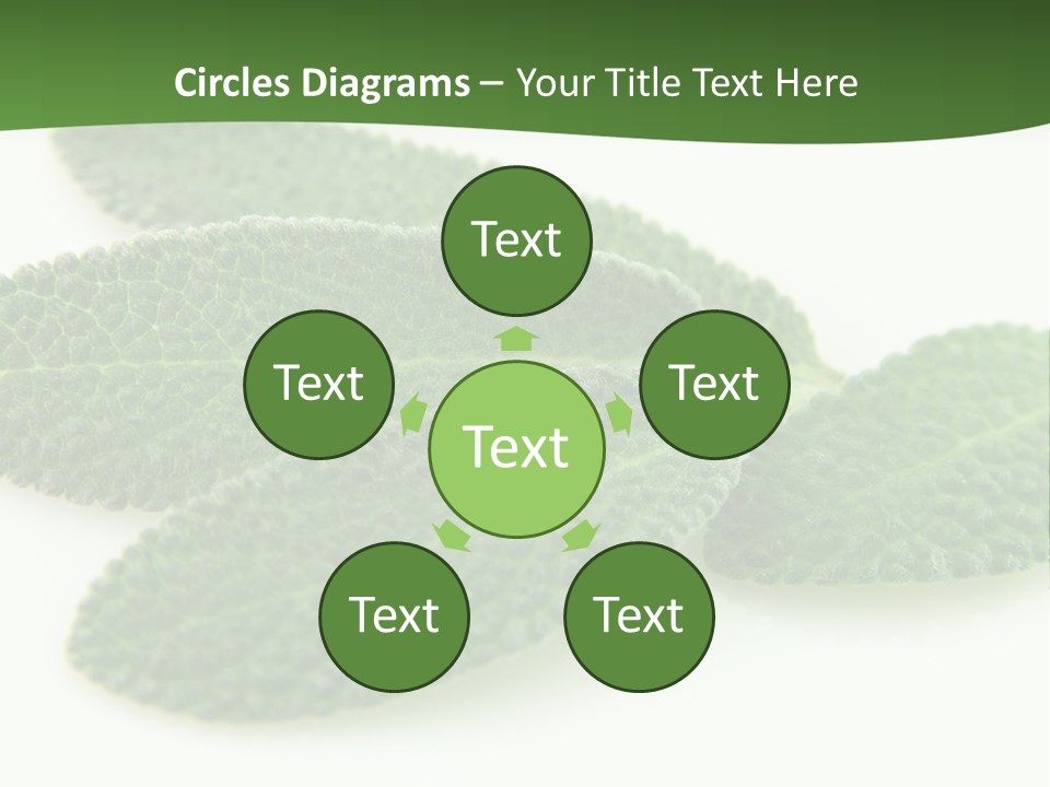 Food Salvia Herb PowerPoint Template