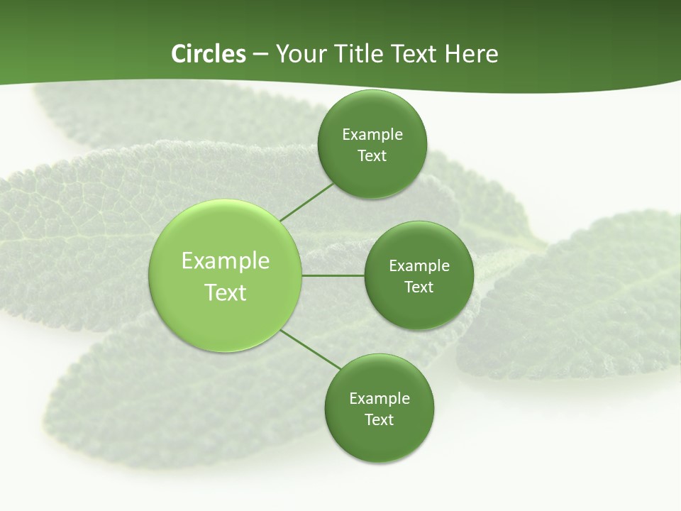 Food Salvia Herb PowerPoint Template