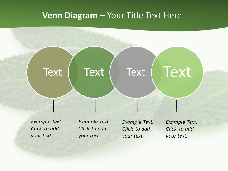 Food Salvia Herb PowerPoint Template
