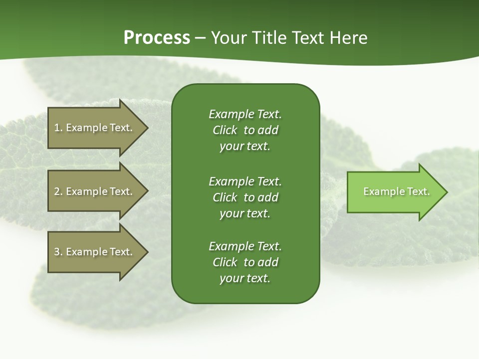 Food Salvia Herb PowerPoint Template