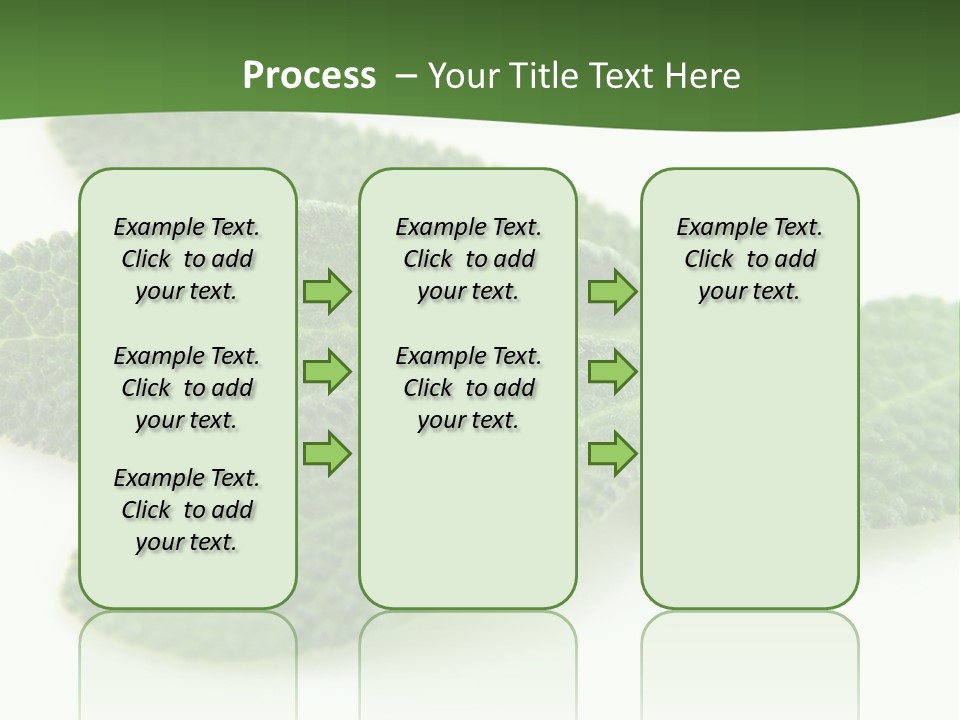 Food Salvia Herb PowerPoint Template