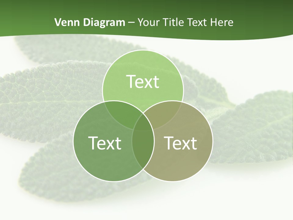 Food Salvia Herb PowerPoint Template