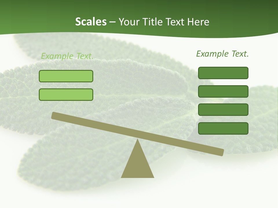 Food Salvia Herb PowerPoint Template