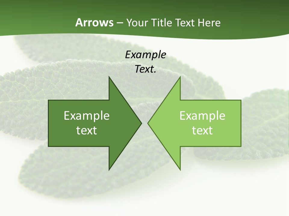 Food Salvia Herb PowerPoint Template