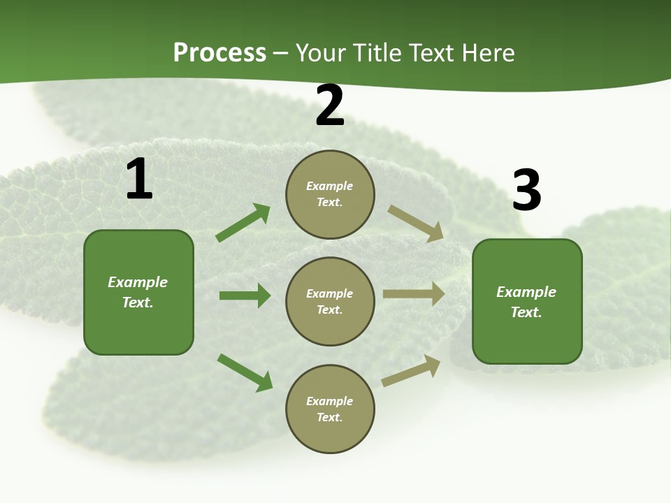 Food Salvia Herb PowerPoint Template